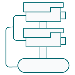 IP Surveillance